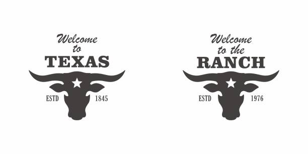 illustrazioni stock, clip art, cartoni animati e icone di tendenza di illustrazione vettoriale dell'allevamento del bestiame. logo texas ranch, emblema. - ox head