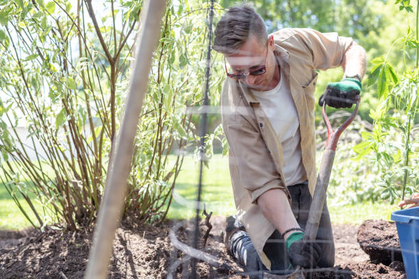 istock Gardener working with his plants on a summer evening 1277237781