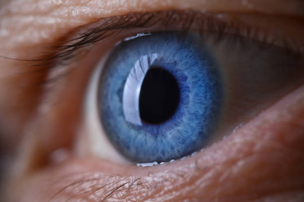 istock Male eye blu color super macro closeup shot. 1277238404