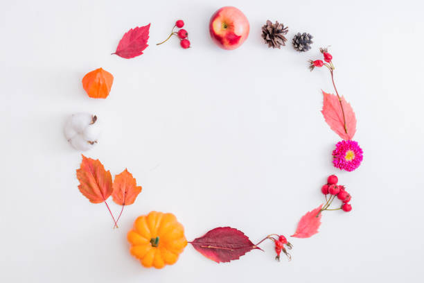 istock Flat lay frame with colorful autumn leaves, flowers, berries on a white background 1277240765
