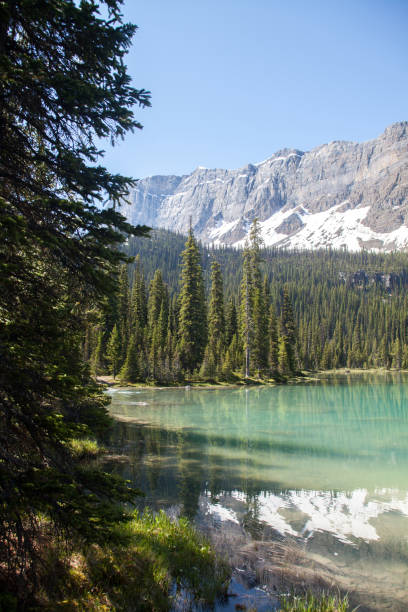 istock Bow Lake in Banff National Park 1277242629