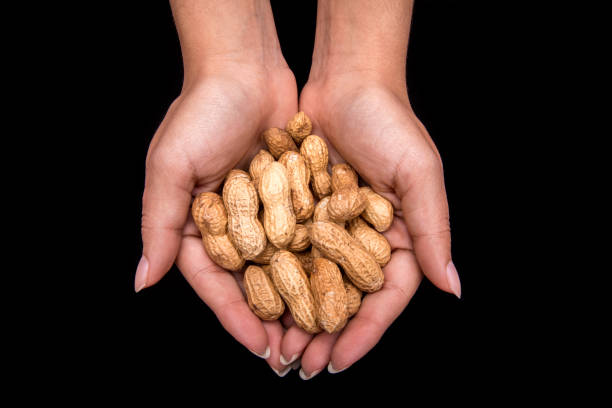 istock woman holding different seeds on black background 1277248441