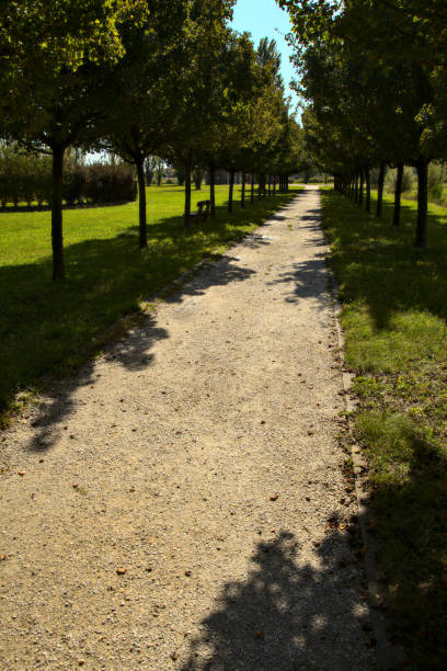 istock Path bordered by trees in a park in the countryside in autumn 1277249967