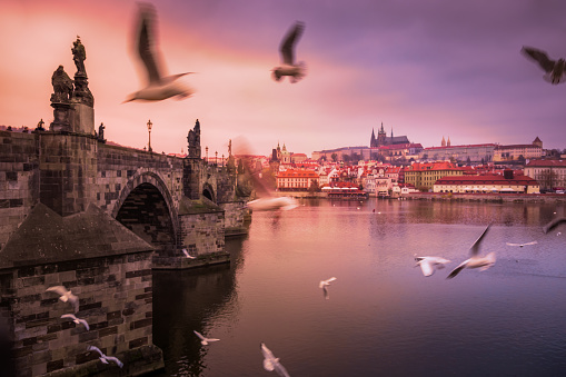 Prague panorama with doves and birds above Charles Bridge at sunrise – Czech Republic