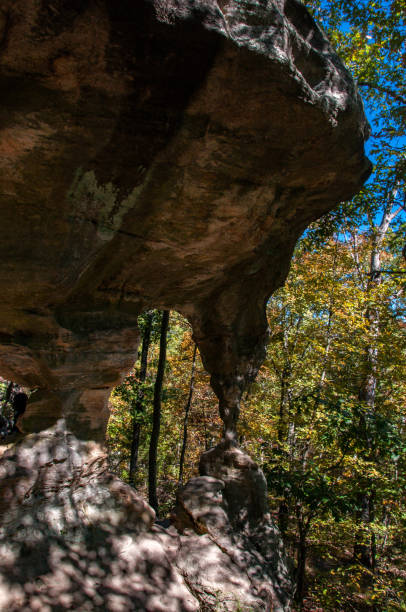 istock Pickle Springs Natural Area - Vertical Natural Stone Arch 1277250813