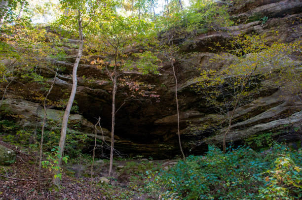 istock Pickle Springs Natural Area - Small Cave in the Hillside 1277251745