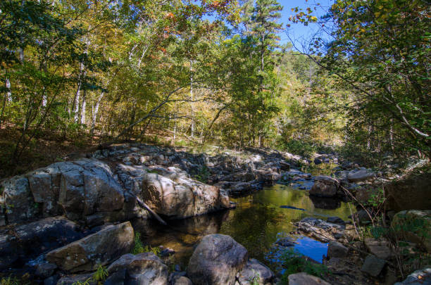 istock Hawn State Park - Rocky Pickle Creek Horizontal 1277251757