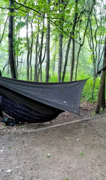 Camping in the forest in a super comfortable one-person hammock 'tent' with the attached canopy over the top to keep it warm and dry. Lots of room in the dirt for copy.