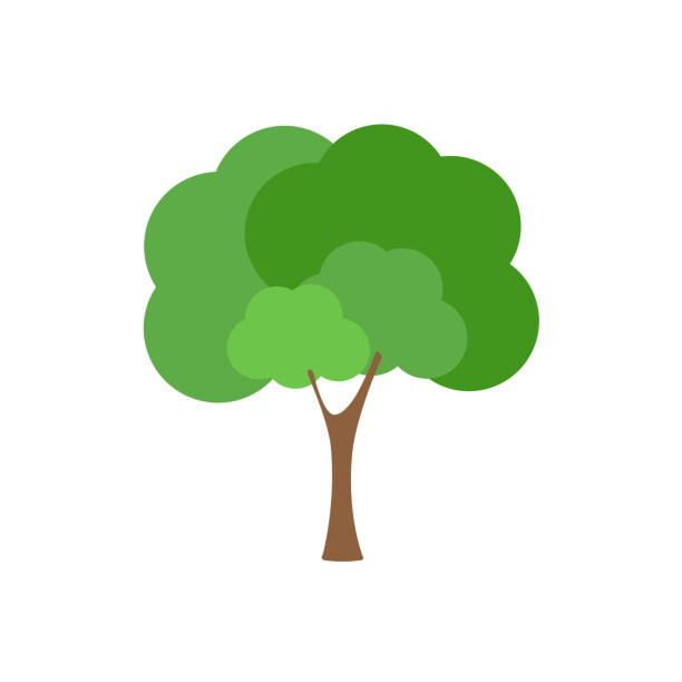 ilustraciones, imágenes clip art, dibujos animados e iconos de stock de verde árbol fértil una variedad de formas en el fondo blanco, conjunto de varios conjuntos de árboles, árboles para la decoración de jardines y diseños de casa.vector ilustración e icono - globe grape