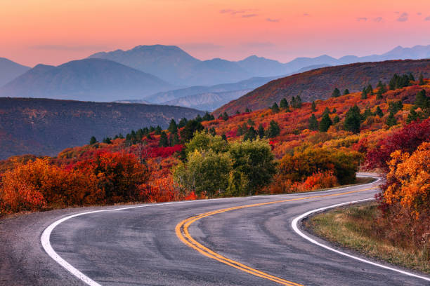 carretera de montaña sinuosa con colores de otoño - road landscape journey road trip fotografías e imágenes de stock