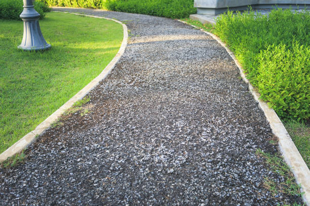 istock Walkway and bush in garden. 1277262848