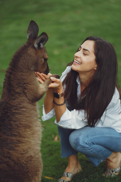 istock Woman in the reserve is playing with a kangaroo 1277263137