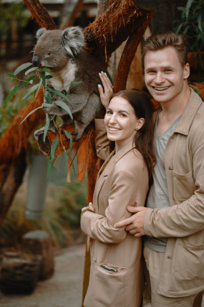 istock Couple in the reserve is playing with a koala 1277263145