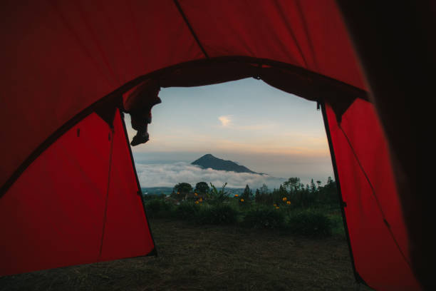 istock See the mountain view from inside the tent. 1277264003