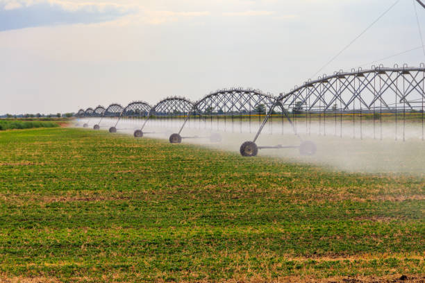istock Large agricultural irrigation system in a field 1277268010