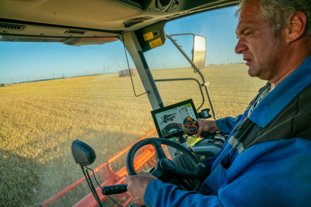 istock the machine operator at the helm of a modern combine harvester harvests grain 1277268128