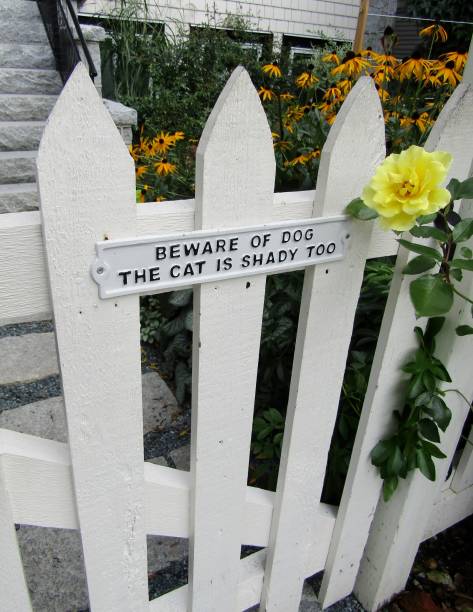Photo of Beware of dog, the cat is shady too sign on white wooden entrance gate