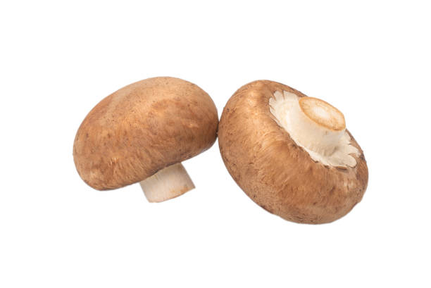 istock Tasty mushroom isolated on white background. 1277280032