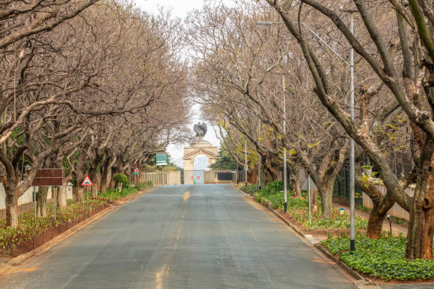 istock Jacaranda tree lined road in Saxonwold, Johannesburg 1277284330