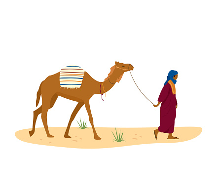 Bedouin leads his camel in desert. Arab character in traditional dress and turban. Flat vector illustration.