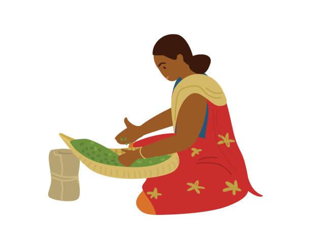 ilustraciones, imágenes clip art, dibujos animados e iconos de stock de mujer india trabajando - sari