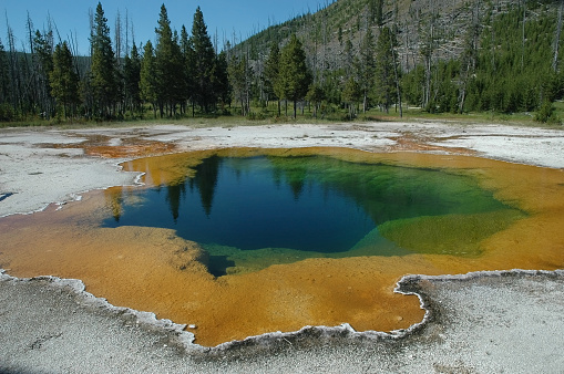 Yellowstone was the first national park in the U.S. and is also widely held to be the first national park in the world. The park is known for its wildlife and its many geothermal features, especially Old Faithful geyser, one of its most popular.