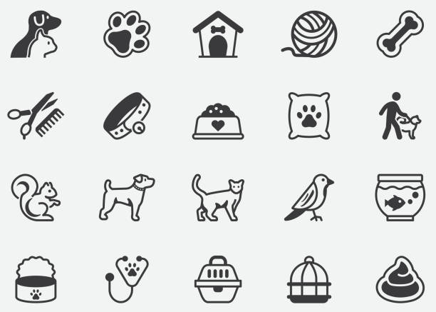 ilustraciones, imágenes clip art, dibujos animados e iconos de stock de animales domésticos de mascotas pixel iconos perfectos - mascota