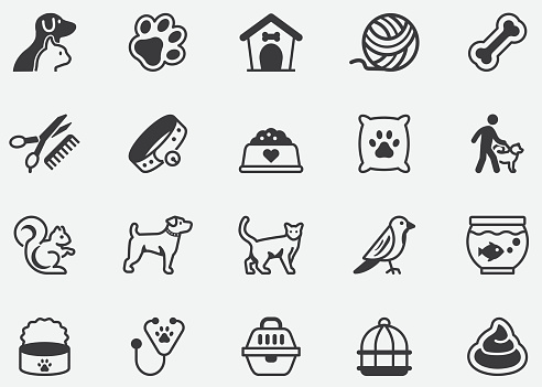 Pet Domestic Animals Pixel Perfect Icons