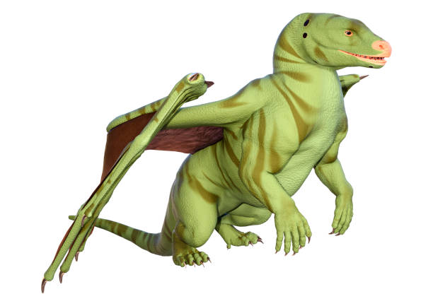 istock 3D illustration fantasy dragon on white 1277291455
