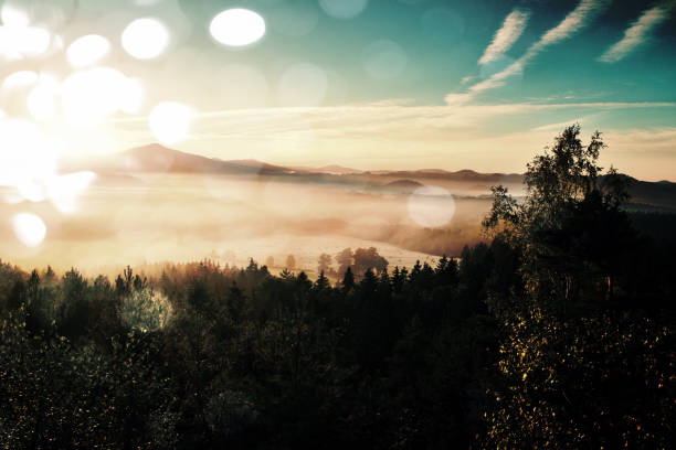 フィルムグレイン効果。ザクセンスイスパークの素晴らしい夜明け。霧から増加した砂岩のピーク - forest sunbeam tree light ストックフ�ォトと画像