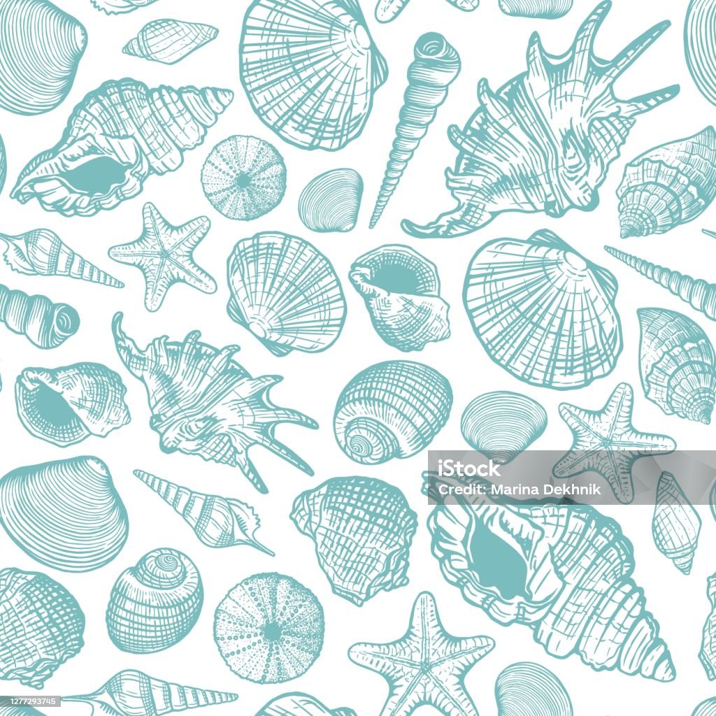 Shellpattern Stock Illustration - Download Image Now - Animal Wildlife ...