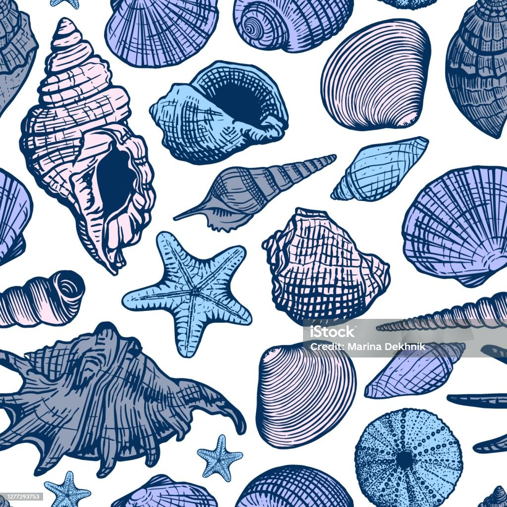 Pattern For A Shell Shellpattern Stock Illustration - Download Image Now - Backgrounds ...