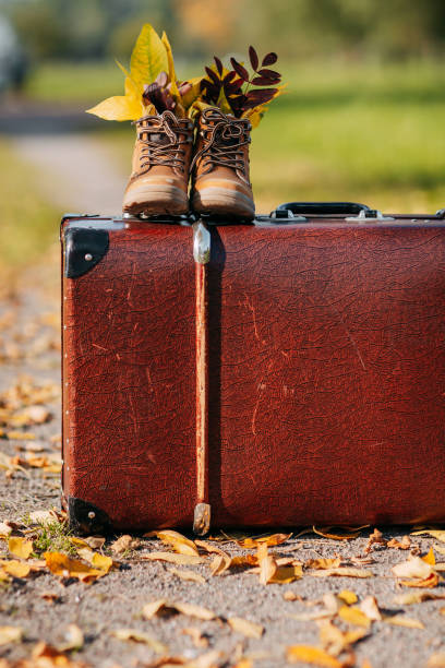 istock Old brown boots with leaves inside. Boots and brown vintage suitcase in autumn forest. Path with yellow leaves. Leather suitcase under the tree. Autumn nature, yellow and red foliage. 1277294413