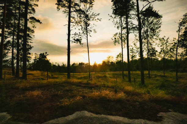 istock Indian Summer in Dalsland Sweden 1277296508
