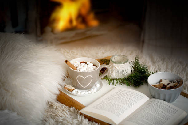cocoa, hot chocolate, book, cozy in the wintertime