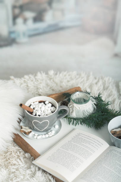 istock cocoa, hot chocolate, book, cozy in the wintertime 1277300793