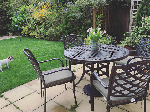 An old wooden table in the garden with cut grass and an old tree with a bare trunk