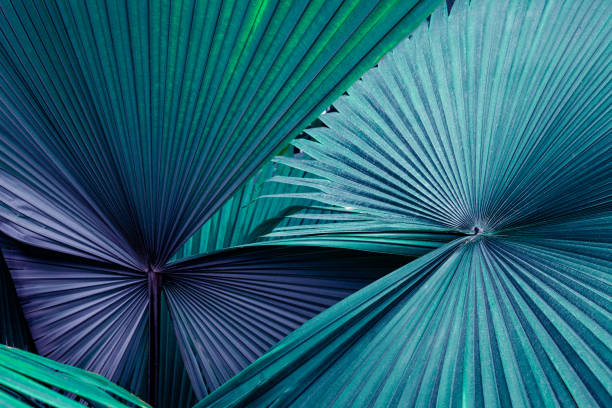 istock closeup nature view of green leaf background 1277306475