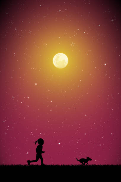 ilustrações de stock, clip art, desenhos animados e ícones de little girl with dog on moonlit night - night running