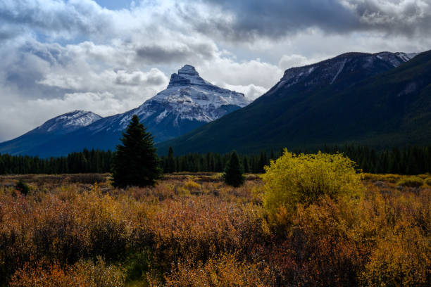 istock Pilot Mountain Banff, Alberta Kanada travel destination 1277310499
