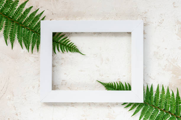 White photo frame decorated with fern leaves on light gray concrete wall background, texture.