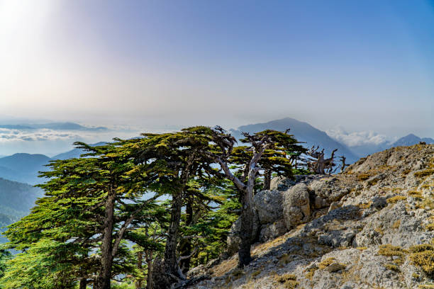 istock Bozburun mountain (2505 m.) in Serik, Antalya 1277313463