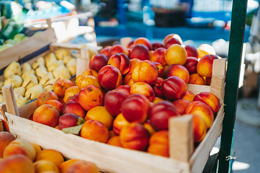 November 23, 2022 - New York, USA: Honey crisp apples on sale at the Grow NYC Union Square Greenmarket, a year-round farmers market with various farm and small batch food producers.