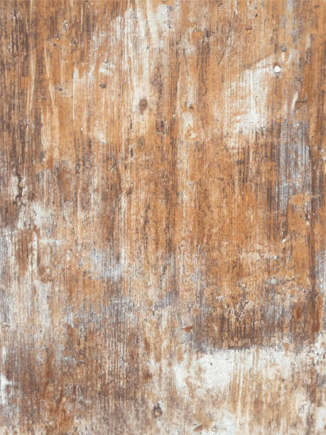 아름다운 자연 더러운 손상 나무 문 표면 - 벡터의 추상적 인 배경 삽화 - 눈에 보이는 라인 점과 변색과 베이지색과 갈색의 그늘에서 표면의 수직 조각 - table nature brown backgrounds stock illustrations