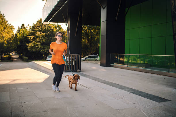 istock Pretty young woman and her cocker spaniel dog 1277318991