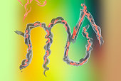 astrologisches-symbol-des-horoskopskorpions.jpg?b=1&s=170x170&k=20&c=C00INw8MXj37LxJ0tbBhprpl94ucc7ACu43GN3Ma-iU=