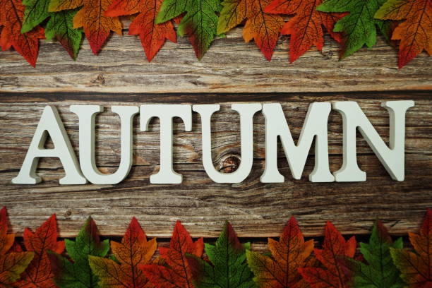 istock Autumn alphabet letter with maple leaves on wooden background 1277321580