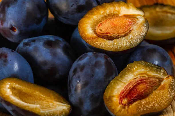 Fresh black plums close-up.Food photography.