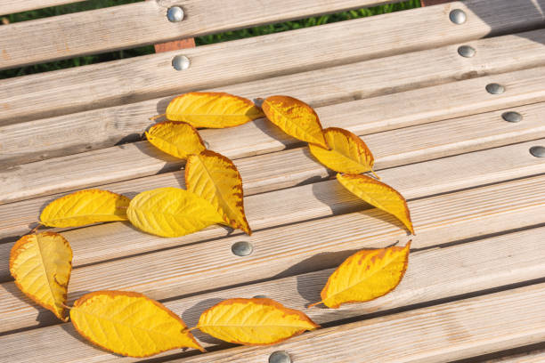 un cœur de feuilles d’automne jaune-brun disposés sur un banc en bois. plat laïc - botany bright brown heart shape photos et images de collection