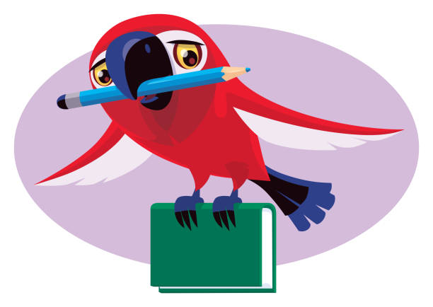 85 Baby Bird Learning To Fly Illustrations Illustrations & Clip Art - iStock